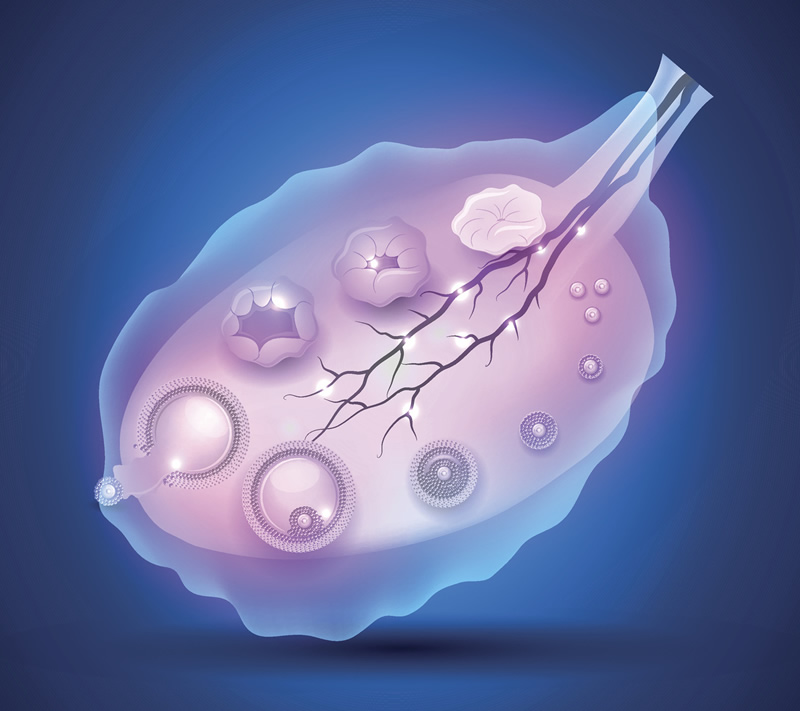 2026年太原试管婴儿医院排名前十强榜单：山医大一院、山西省妇幼领衔，附试管着床率与医生选择指南